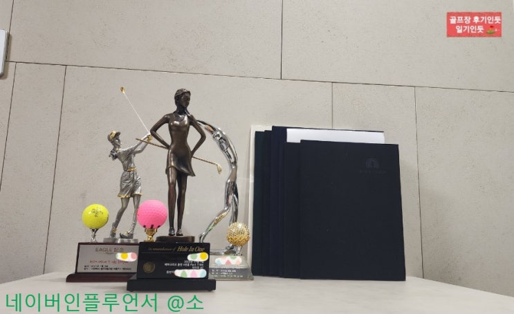  골프 라운딩 블랙스톤이천cc 1일 단기 홀인원보험 가입방법 및 어플추천(토글 보험)