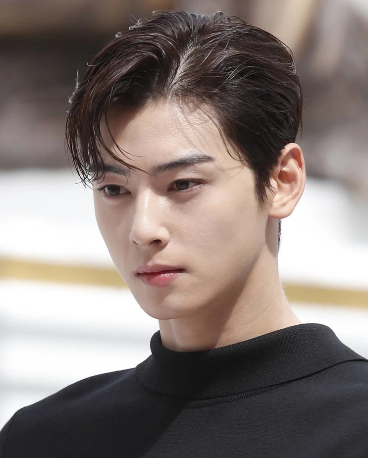 엄친아로 불리던 '얼굴 천재' 배우 차은우, 축제에서 캐스팅돼 데뷔와 동시에 주목받아 엄친아로 불리던 '얼굴 천재' 배우 차은우, 축제에서 캐스팅돼 데뷔와 동시에 주목받아