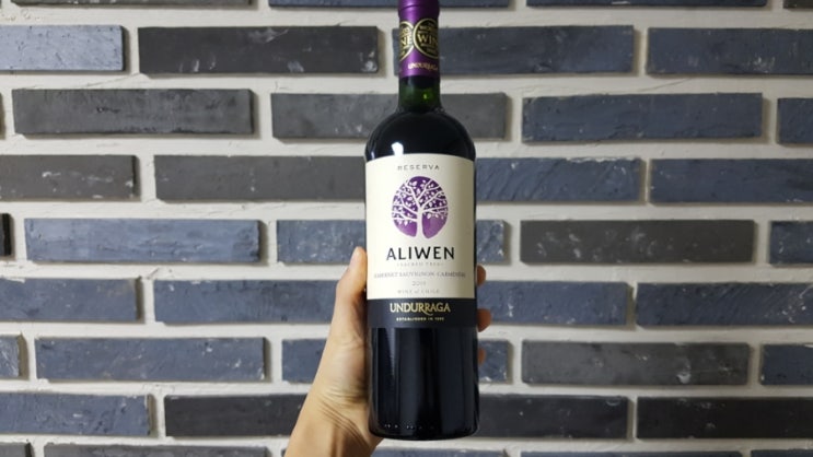 이마트 칠레 가성비 와인: 운드라가 알리웬 까베르네소비뇽 까르미네르
