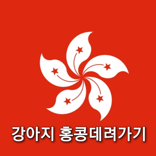  강아지 홍콩데려가기 절차와 방법