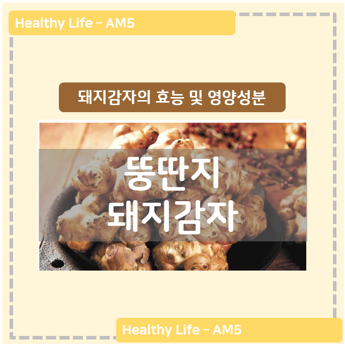  돼지감자차, 돼지감자, 이눌린의 효능 및 영양성분, 섭취방법