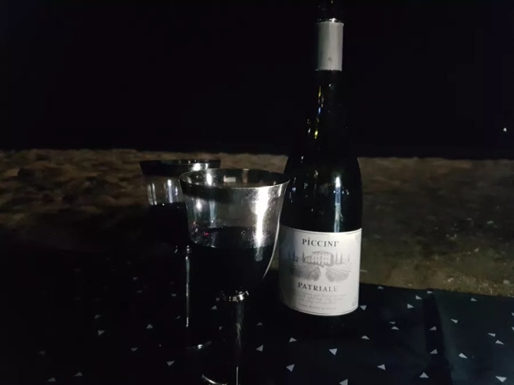 이탈리아 가성비 와인: 피치니 파트리알레 내돈내산 후기