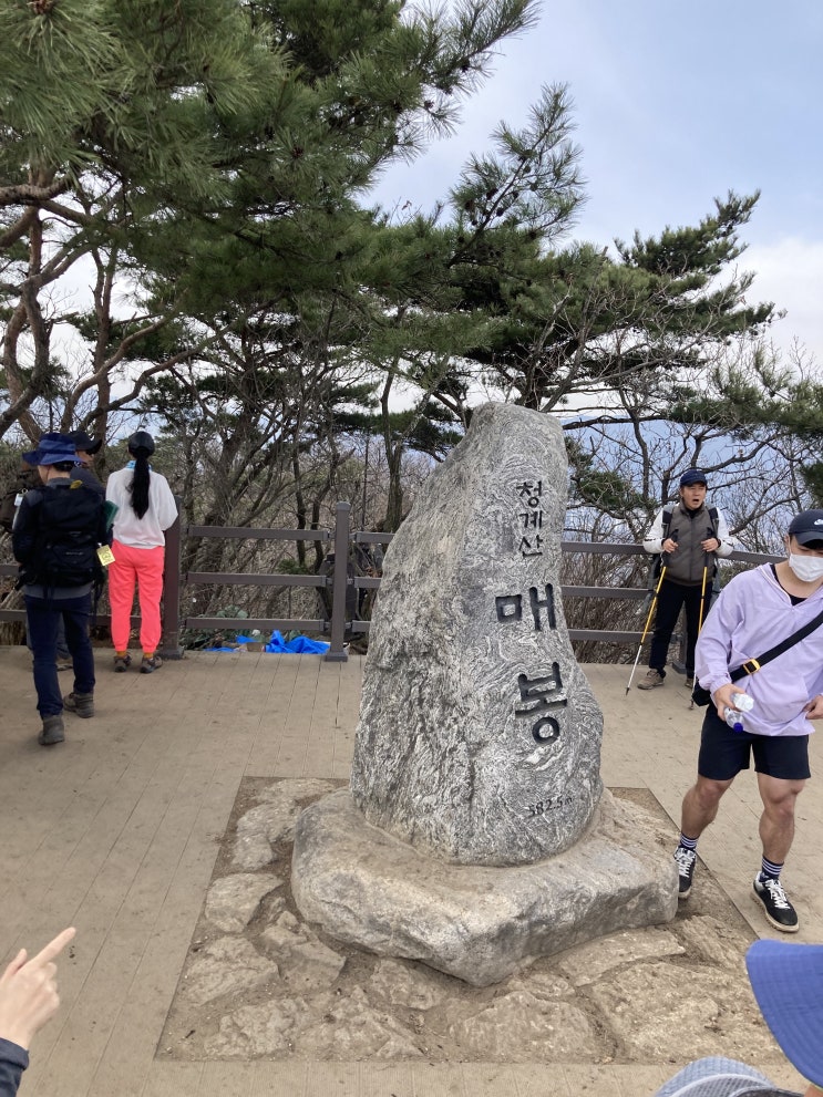  청계산 매봉 코스 등산하기