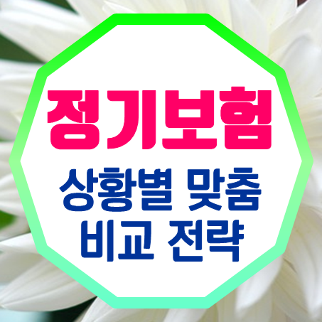  알아두면 도움 되는 정기보험추천 및 정기보험비교 전략