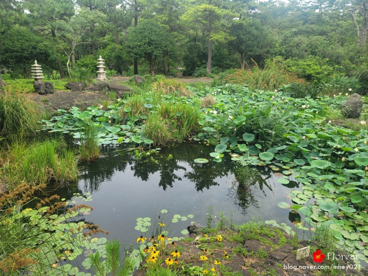 제주 가볼 만한 곳 수목원 한림공원_02