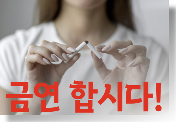 담배의 위험성과 흡연에 대한 정확한 이해