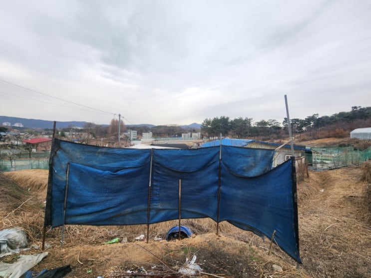  내땅이 수용됩니다. 재개발된대요. 내토지 적정하게 보상받는 방법