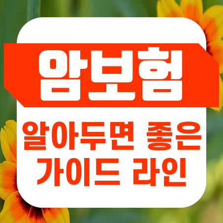  40대 암보험 추천 가이드 : 인터넷암보험 비교 및 가입 전 알아야 할 팁