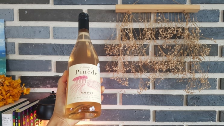 이마트24 가성비 프랑스 와인: 슈맹드라 피네드 빼이독 로제