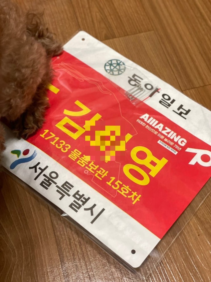  2023 동아마라톤 풀코스 준비, 카보로딩 어떻게 먹어야하지?
