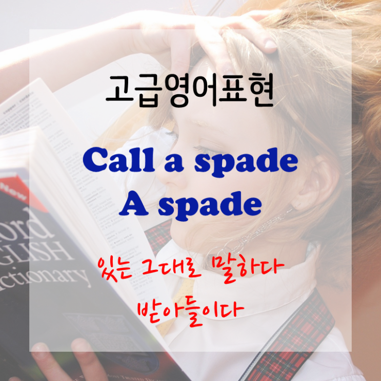  [고급영어표현] Call a spade a spade - 사실대로 말하다