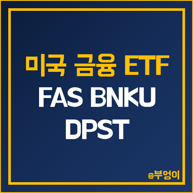 미국 은행주 및 금융주 레버리지 ETF - FAS, BNKU, DPST