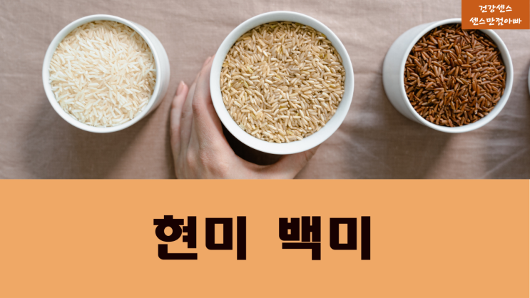  현미:백미 차이 및 효능과 부작용