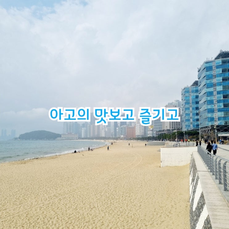  아고의 맛보고 즐기고~ 국내여행 W11