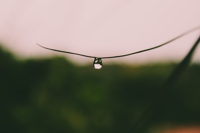 에세이 | 물방울 에세이 | 물방울