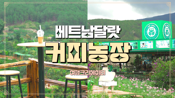  베트남 달랏여행 당일투어 커피 농장,족제비똥커피 위즐커피가 유명한 메린커피농장 MeLinh Coffee Garden