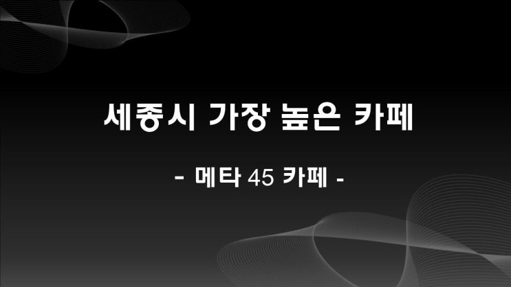  세종에서 가장 높은 카페, 메타 45 카페
