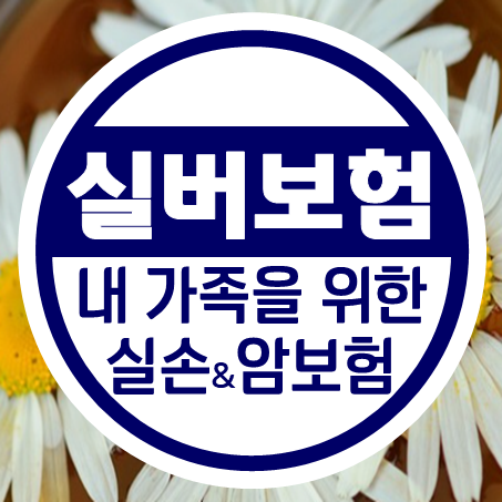  내 가족을 위한 노후실손보험 추천 및 실버암보험 비교 시 고려 사항