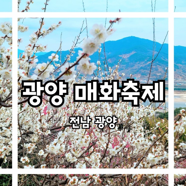 3월 봄축제 광양매화축제 당일치기 (feat. 하동 화개장터)