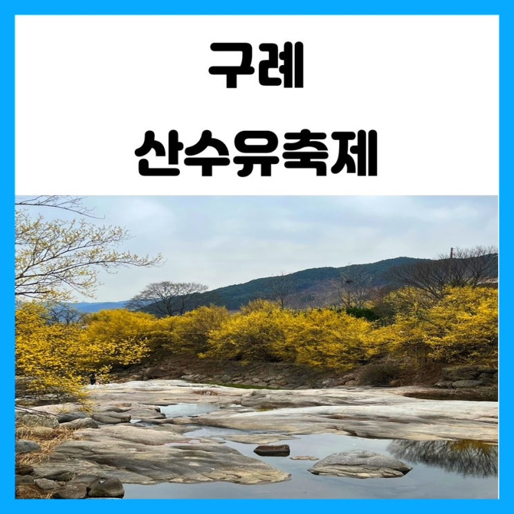 구례 산수유꽃축제 반곡마을 여행