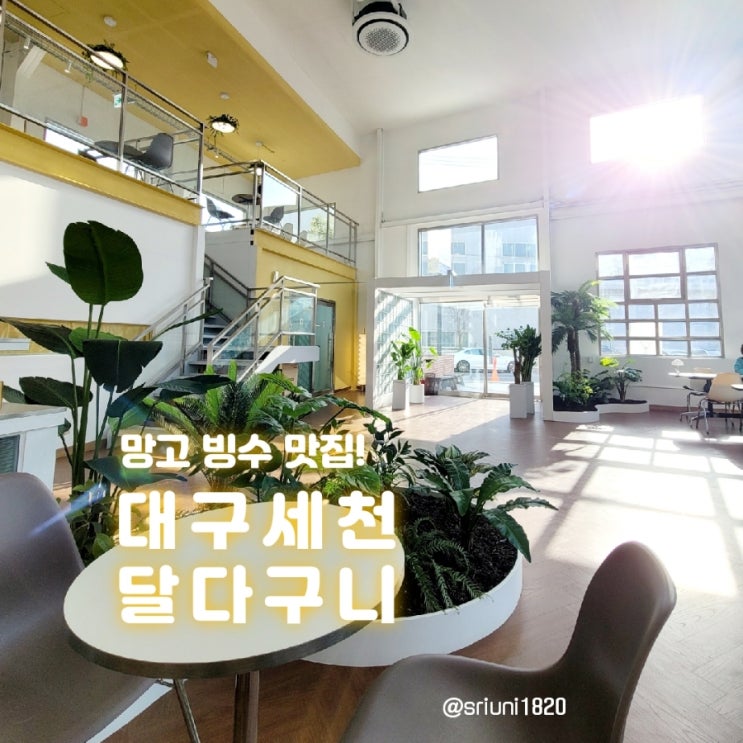  [카페] '23. 3월 18일 대구 세천 생과일 빙수 맛집 달다구니