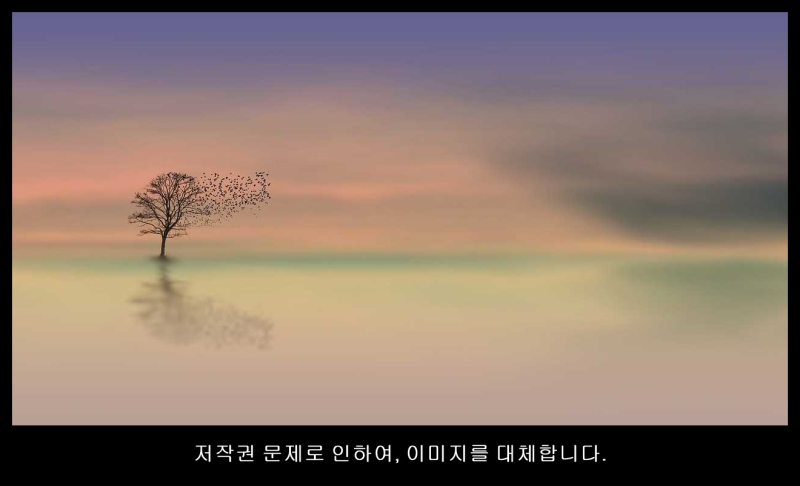 드래곤볼 신장판 1~42권 전권 세트, 서울미디어코믹스 (6ee40fb5-9c1f)
