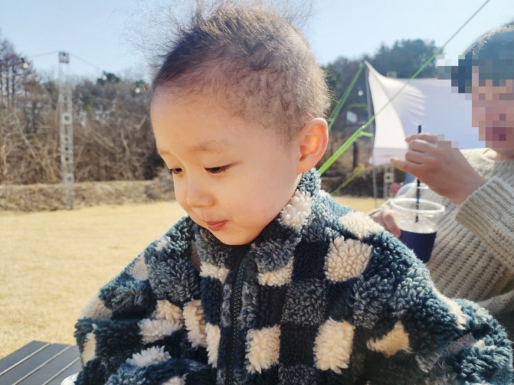  손주사랑