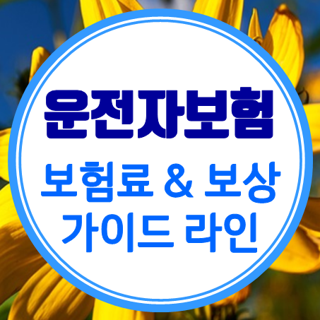  운전자보험 가입 기준 : 운전자보험료 및 비갱신운전자보험 보상 가이드