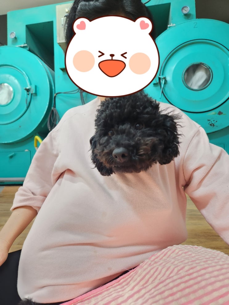 깜동이는 할머니 품이 조아요!