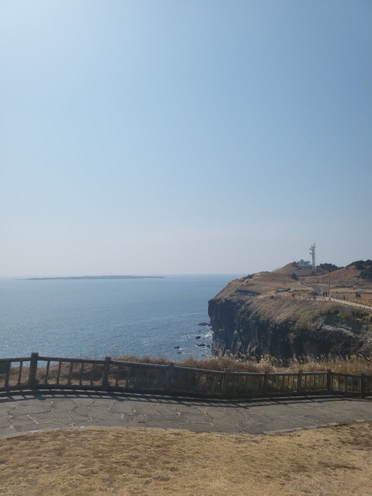  제주 애견 동반 관광지 송악산 산책하기좋은곳