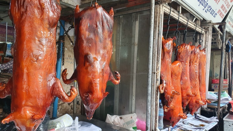  동남아 캄보디아 프놈펜 여행 오르세이마켓 편