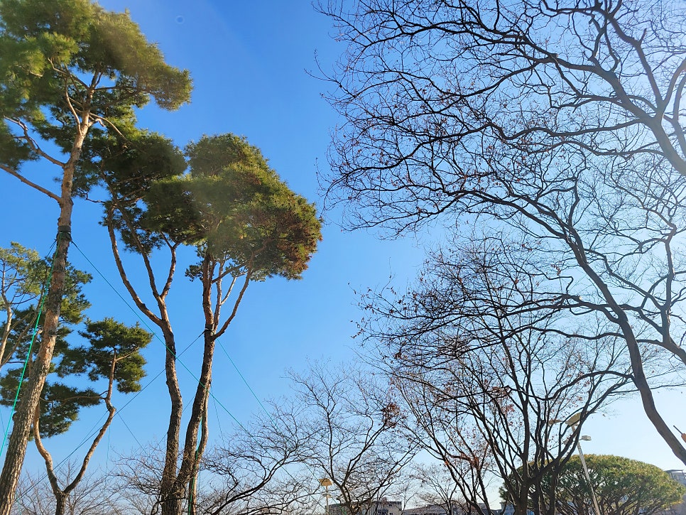 라라코스트 서산호수점 사진 1