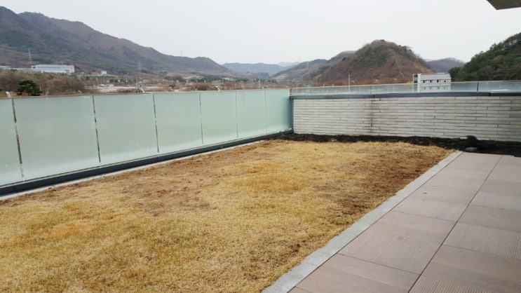  대구 3월 정원관리 잔디밭 잡초 뽑기 작업하였습니다