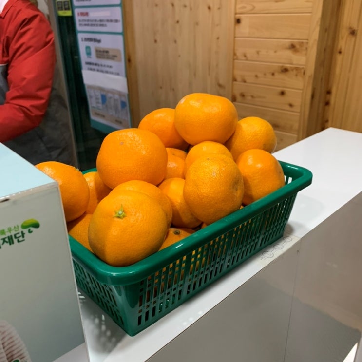  [제주도] 저렴하고 상태 좋은 제주공항렌트카