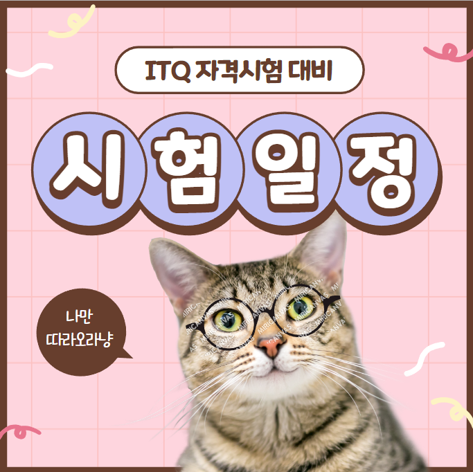  ITQ 시험일정 알아보기!