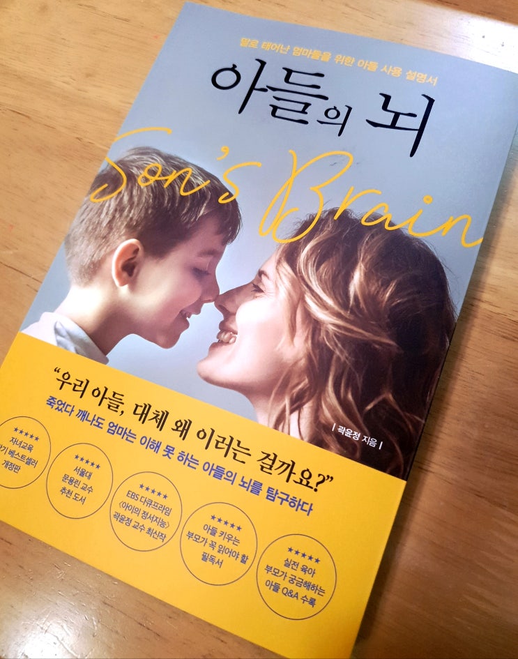  아들의 뇌 / 곽윤정