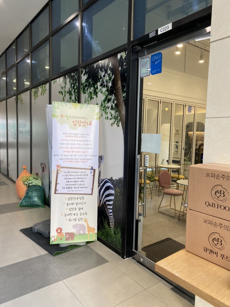 아이랑 다녀온 안산 실내동물원 카페 즐기는 꿀팁_오픈런 후기, 위치, 주차, 동물구경하기 좋은것 추천 아이랑 다녀온 안산 실내동물원 카페 즐기는 꿀팁_오픈런 후기, 위치, 주차, 동물구경하기 좋은것 추천