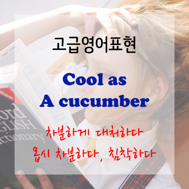 [고급영어표현] cool as a cucumber - (압박 속에서도) 차분하게 대처하다. 몹시 차분하다. 침착하다