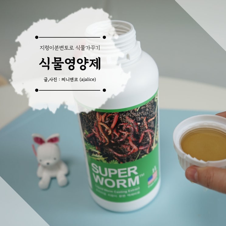 화분영양제 발근촉진제로 식물키우기 화분영양제 발근촉진제로 식물키우기