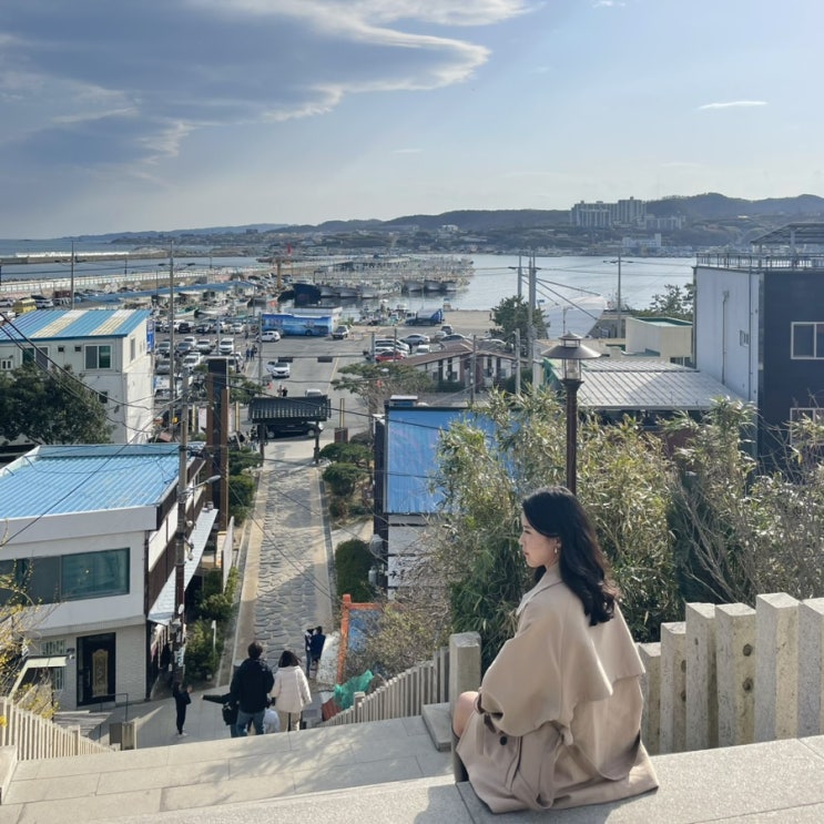 봄 벚꽃여행 동백꽃필무렵 촬영지 포항 구룡포문화마을 일본인가옥거리 봄 벚꽃여행 동백꽃필무렵 촬영지 포항 구룡포문화마을 일본인가옥거리