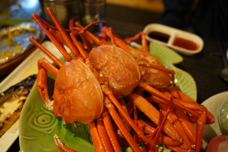  대전 탄방동 횟집 홍게 맛집 노랑물고기 탄방점 가성비 회식 장소