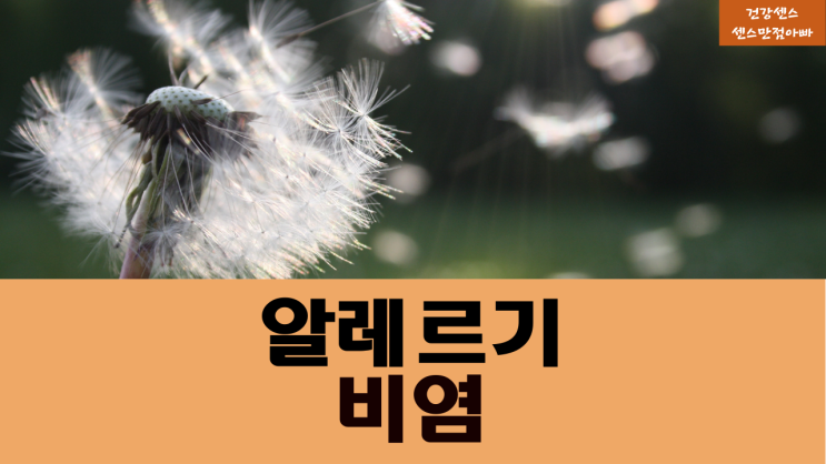  알레르기 비염이란? 진료과 증상확인방법 치료법(출처:식약처)