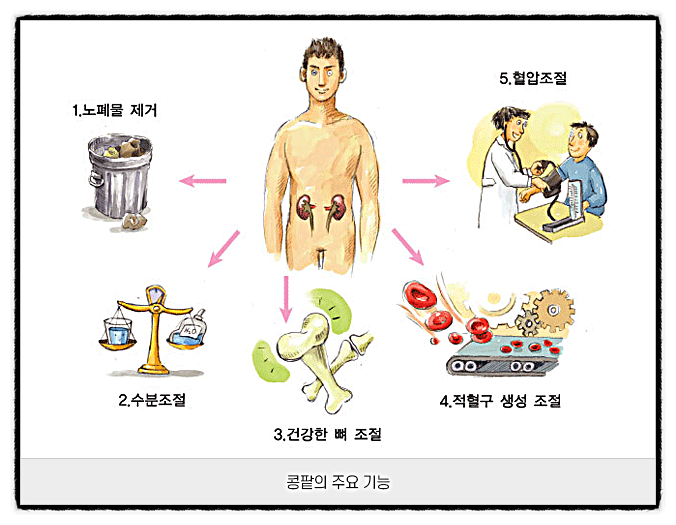  숨겨진 사인, 만성 신장병
