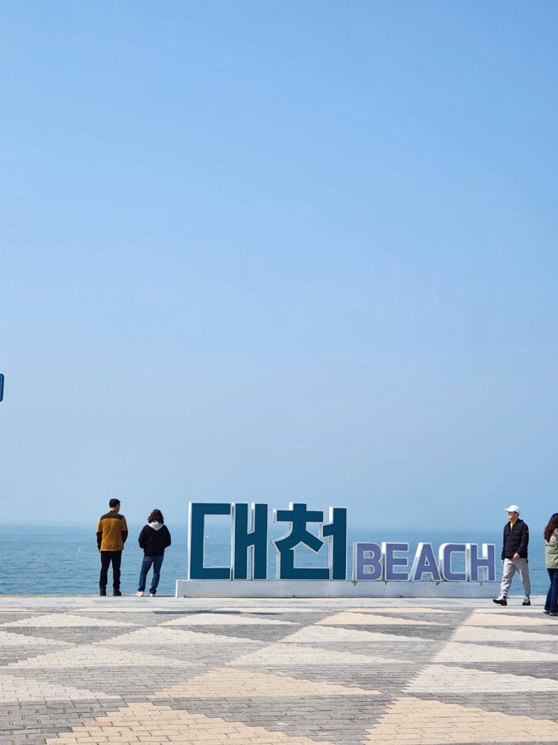 [충남 보령] 대천 해수욕장 가볼만한 놀거리 추천 스카이 바이크 (+소지품주의!!) : 네이버 블로그
