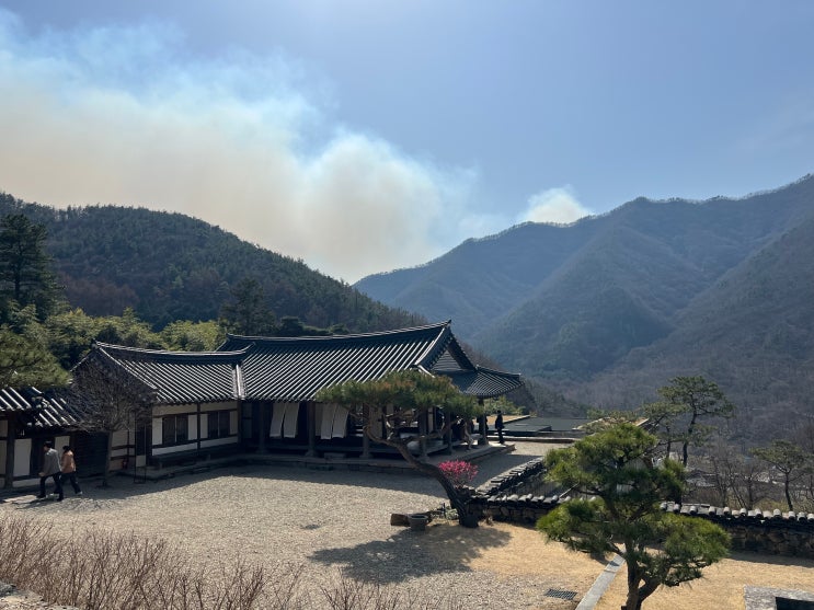  전주 카페｜고즈넉한 분위기를 만끽할 수 있는 아원고택 갤러리카페