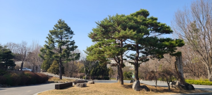  오산 물향기수목원 식물원 가족나들이 피크닉 아이와 가볼만한 곳 추천