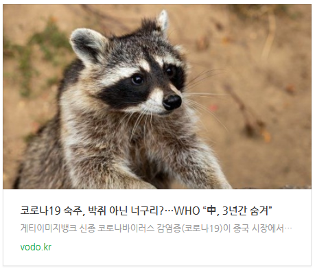 [아침뉴스] 코로나19 숙주, 박쥐 아닌 너구리?…WHO “中, 3년간 숨겨”