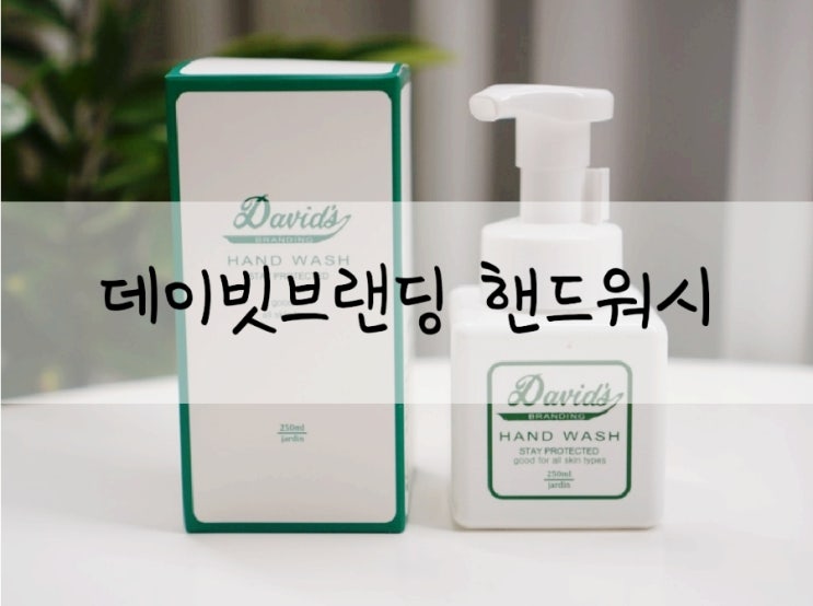  핸드워시추천 프리미엄 포밍핸드워시 데이빗브랜딩 (백화점입점제품)
