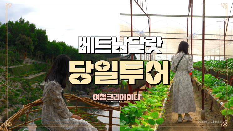  베트남 달랏여행 신투어리스트, 해피데이트래블 당일투어코스 마마달라,  녹차밭, 곶감, 딸기농장체험, 메린커피농장, 카페