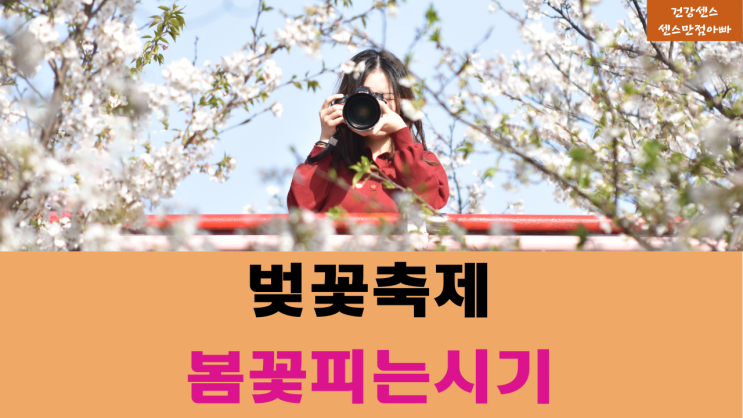  한국관광공사 전국 3월 4월 축제 지역 : 벚꽃 축제 서울, 경기, 강원, 충청, 경상도, 전라도, 제주도 전국 봄꽃 개나리,진달래, 벚꽃류 개화(꽃 피는) 시기